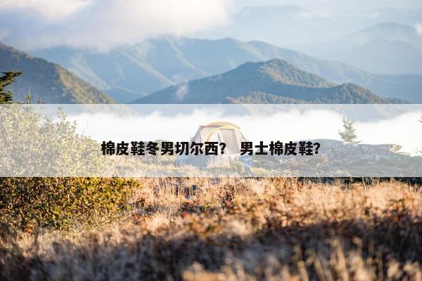 棉皮鞋冬男切尔西？ 男士棉皮鞋？