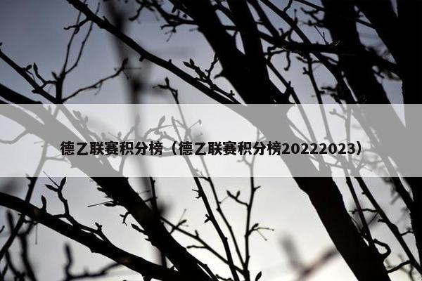 德乙联赛积分榜（德乙联赛积分榜20222023）