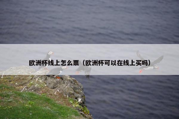 欧洲杯线上怎么票（欧洲杯可以在线上买吗）
