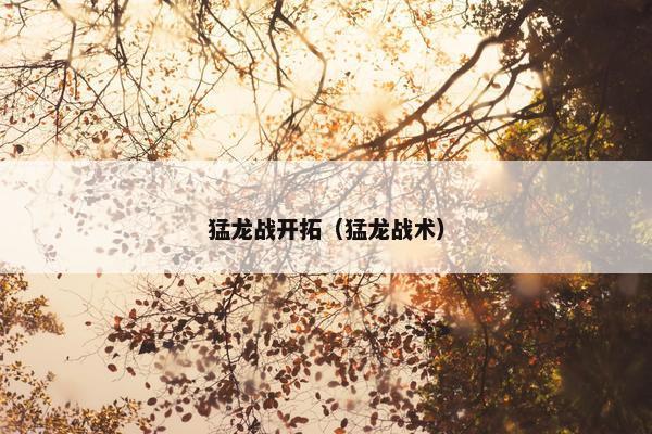 猛龙战开拓（猛龙战术）