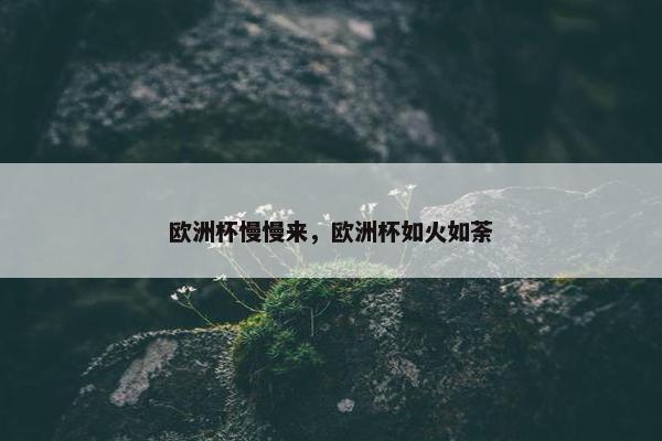 欧洲杯慢慢来，欧洲杯如火如荼