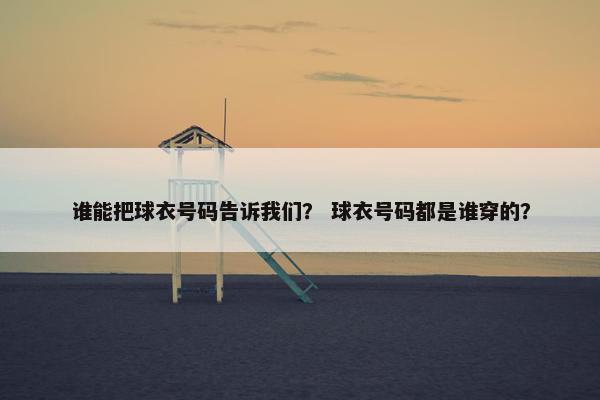 谁能把球衣号码告诉我们？ 球衣号码都是谁穿的？
