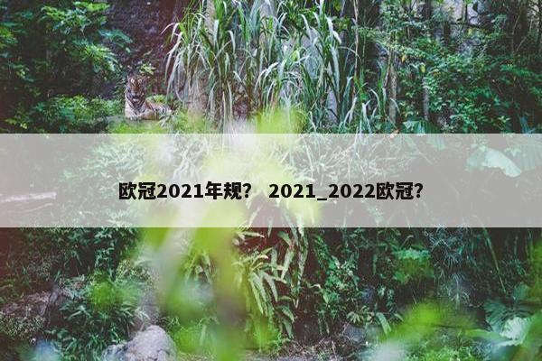 欧冠2021年规？ 2021_2022欧冠？