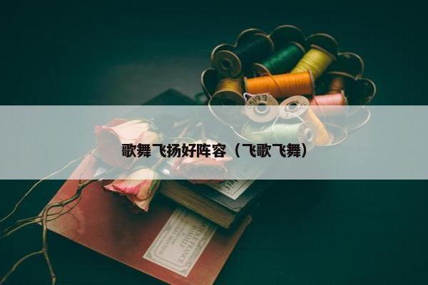歌舞飞扬好阵容（飞歌飞舞）