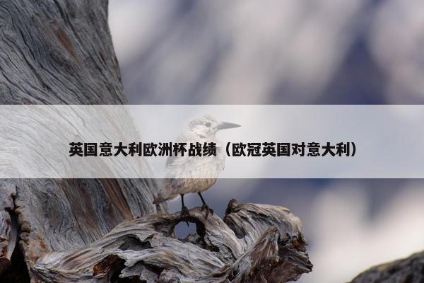 英国意大利欧洲杯战绩（欧冠英国对意大利）