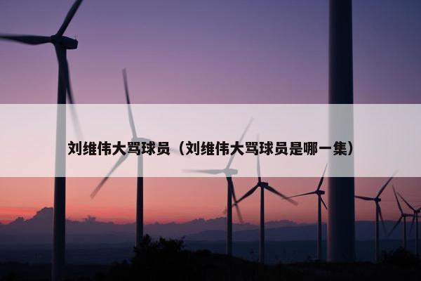 刘维伟大骂球员（刘维伟大骂球员是哪一集）