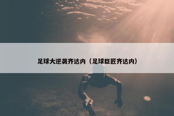 足球大逆袭齐达内（足球巨匠齐达内）