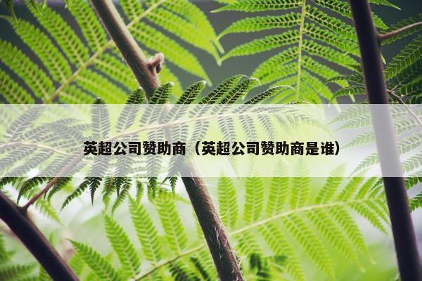 英超公司赞助商（英超公司赞助商是谁）