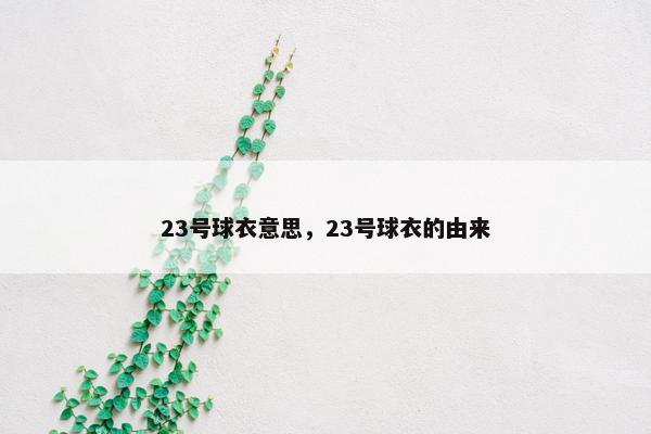 23号球衣意思，23号球衣的由来