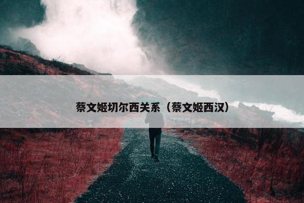 蔡文姬切尔西关系（蔡文姬西汉）