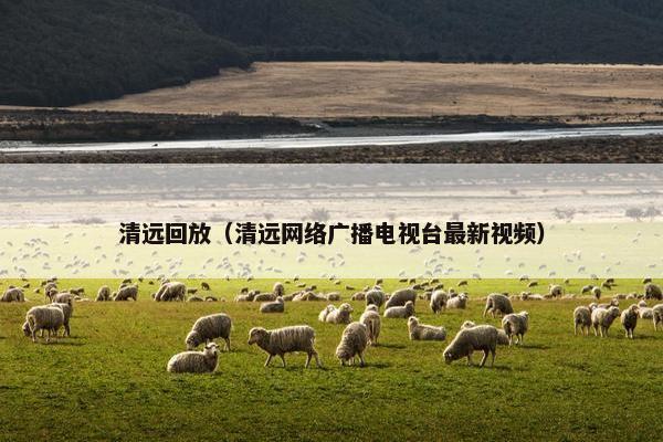 清远回放（清远网络广播电视台最新视频）