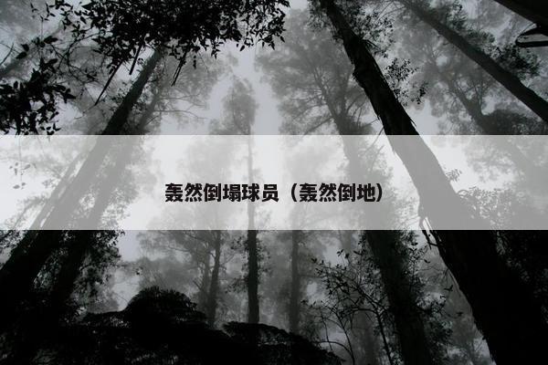 轰然倒塌球员（轰然倒地）