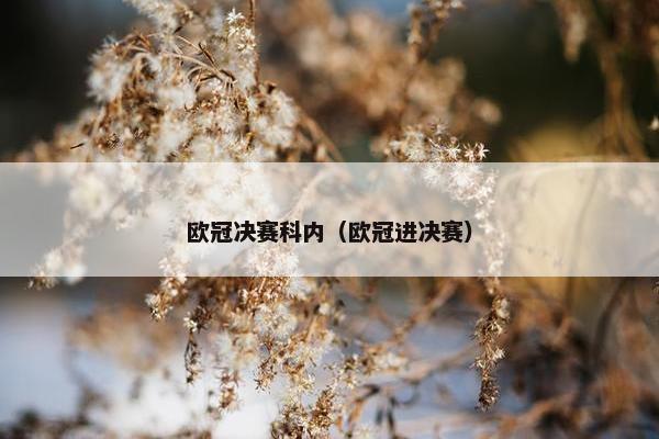 欧冠决赛科内（欧冠进决赛）