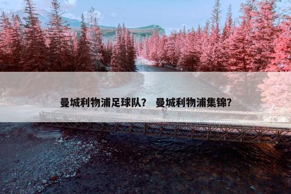 曼城利物浦足球队？ 曼城利物浦集锦？