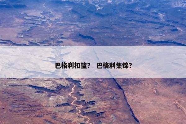 巴格利扣篮？ 巴格利集锦？