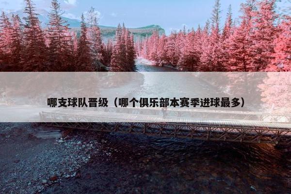 哪支球队晋级（哪个俱乐部本赛季进球最多）