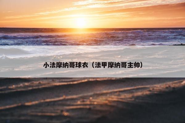 小法摩纳哥球衣（法甲摩纳哥主帅）