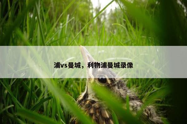 浦vs曼城，利物浦曼城录像