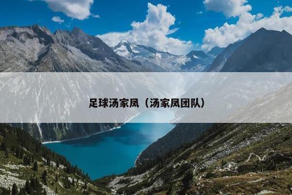 足球汤家凤（汤家凤团队）