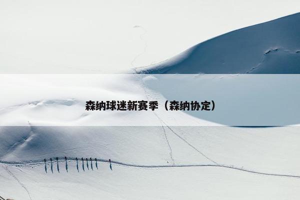 森纳球迷新赛季（森纳协定）