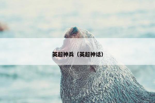 英超神兵（英超神话）