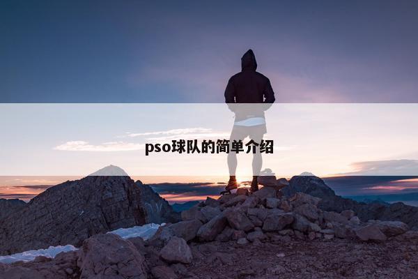 pso球队的简单介绍
