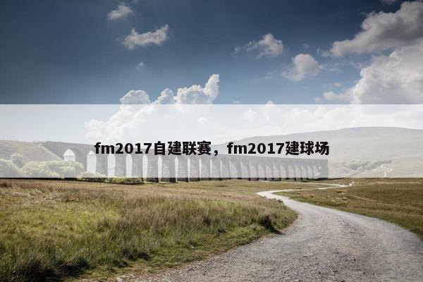 fm2017自建联赛，fm2017建球场