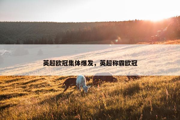 英超欧冠集体爆发，英超称霸欧冠