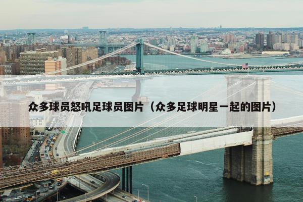 众多球员怒吼足球员图片（众多足球明星一起的图片）