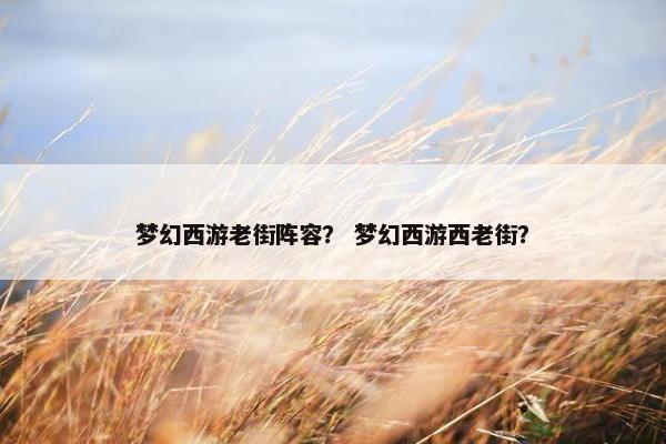 梦幻西游老街阵容？ 梦幻西游西老街？