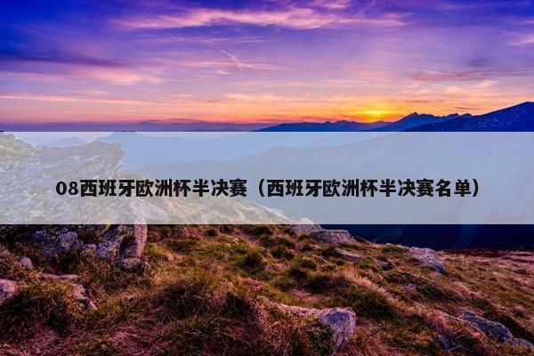08西班牙欧洲杯半决赛（西班牙欧洲杯半决赛名单）