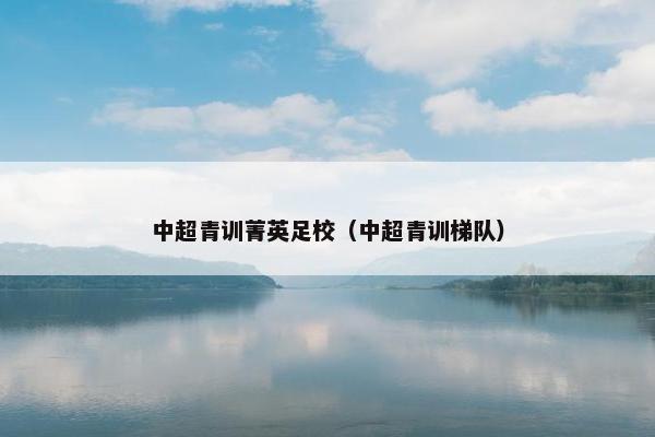中超青训菁英足校（中超青训梯队）