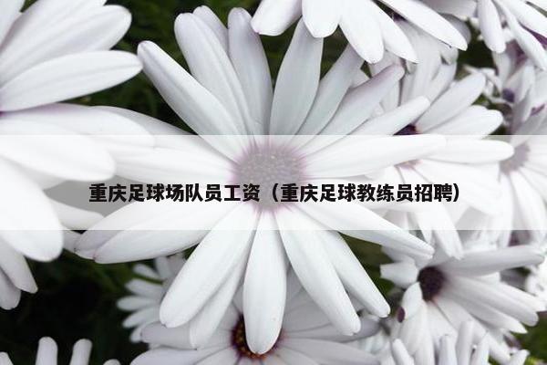 重庆足球场队员工资（重庆足球教练员招聘）