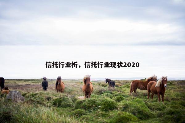 信托行业析，信托行业现状2020