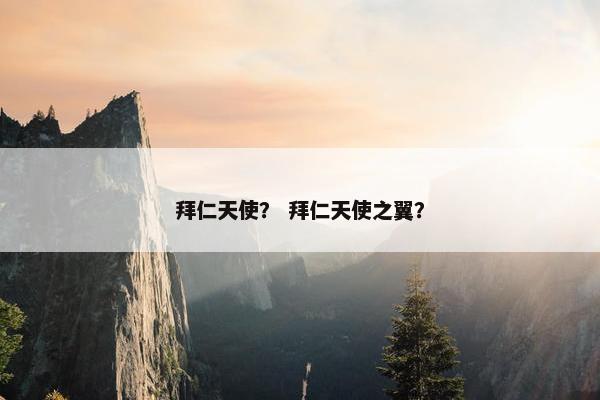 拜仁天使？ 拜仁天使之翼？