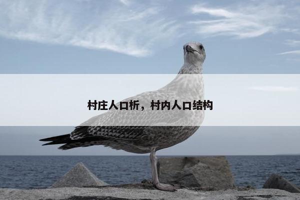 村庄人口析，村内人口结构