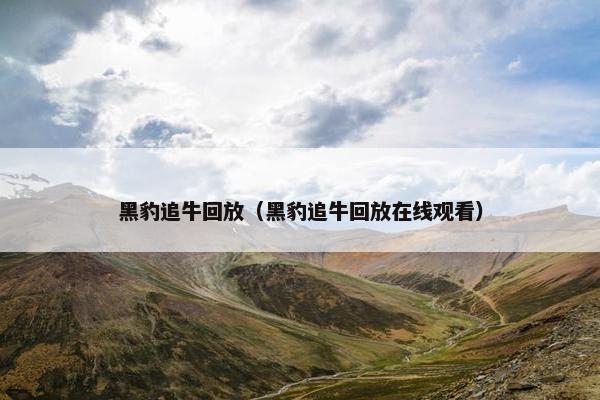 黑豹追牛回放（黑豹追牛回放在线观看）