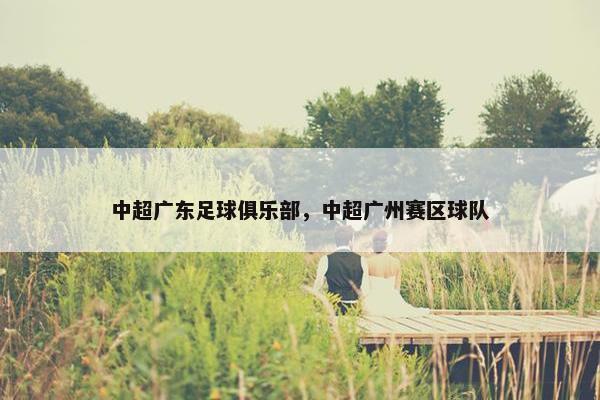中超广东足球俱乐部，中超广州赛区球队