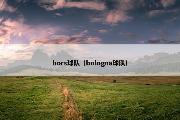 bors球队（bologna球队）