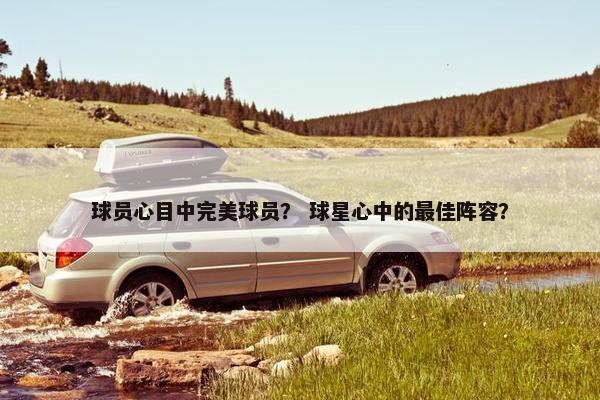 球员心目中完美球员？ 球星心中的最佳阵容？
