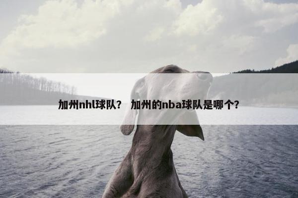 加州nhl球队？ 加州的nba球队是哪个？