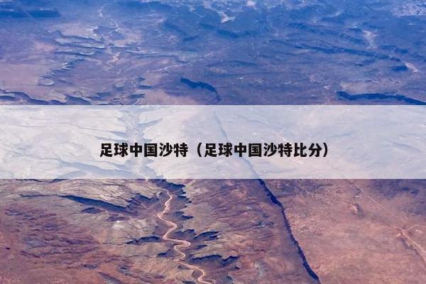 足球中国沙特（足球中国沙特比分）