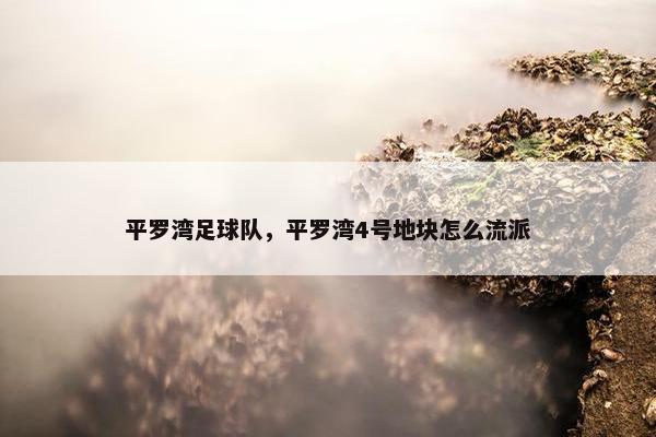 平罗湾足球队，平罗湾4号地块怎么流派