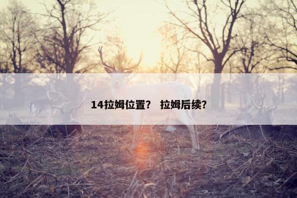 14拉姆位置？ 拉姆后续？