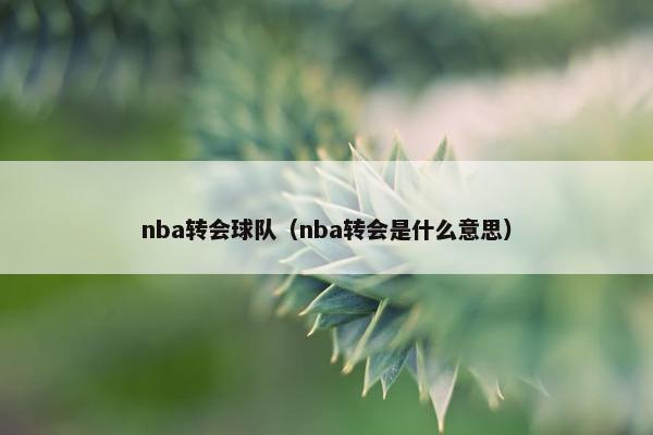 nba转会球队（nba转会是什么意思）