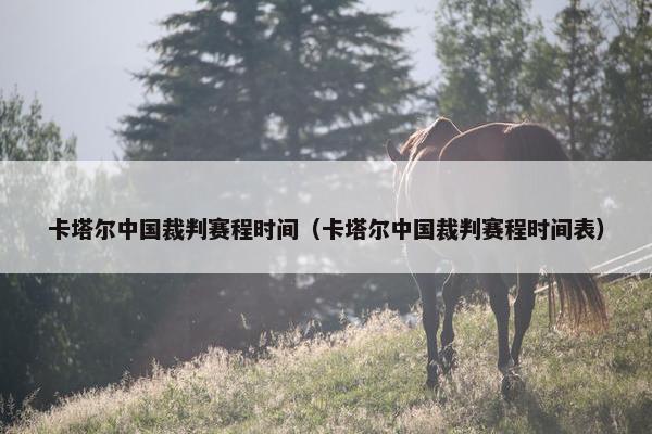 卡塔尔中国裁判赛程时间（卡塔尔中国裁判赛程时间表）