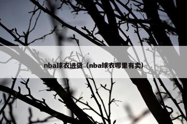 nba球衣进货（nba球衣哪里有卖）