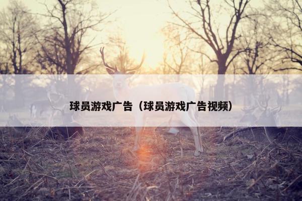 球员游戏广告（球员游戏广告视频）