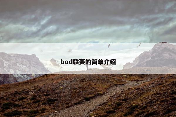 bod联赛的简单介绍