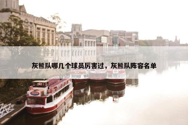 灰熊队哪几个球员厉害过，灰熊队阵容名单